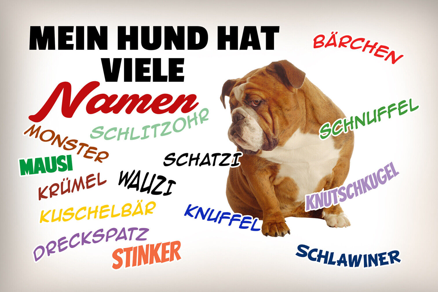 Schild Spruch Mein Hund hat viele Namen Wauzi Krümel Schlawiner Stinker JW