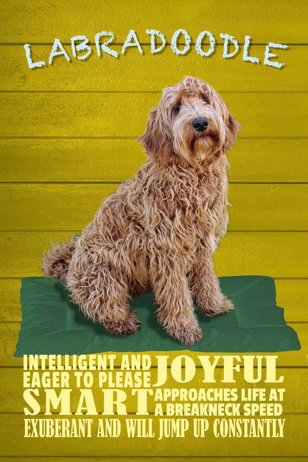Schild spruch labradoodle steckbrief smart schlau hund jw
