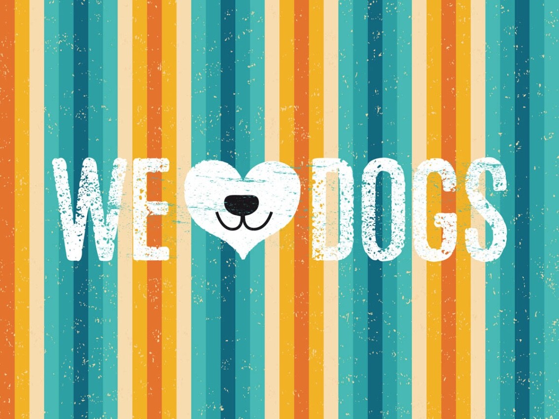 Schild We ❤️ Dogs Hunde Liebe Hund Haus Tier 12x18 20x30 30x40 Blech/Holz