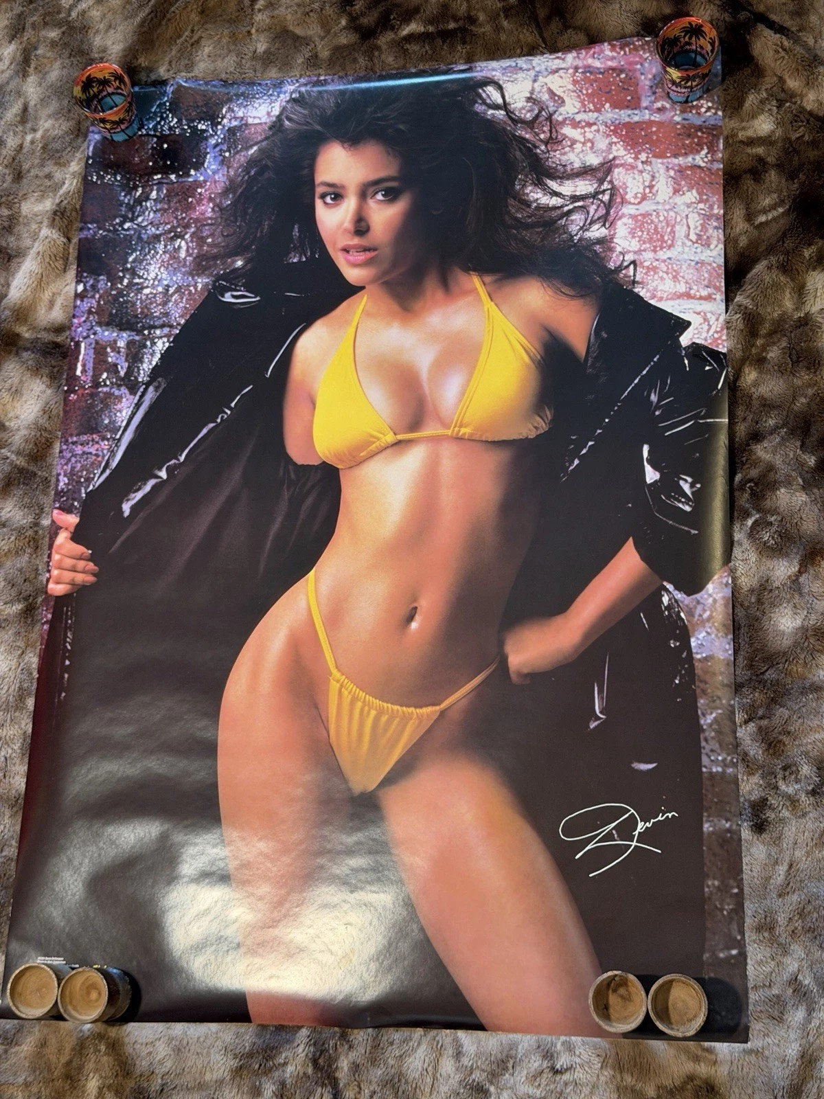 Vintage Pinup Poster - devin devasquez
